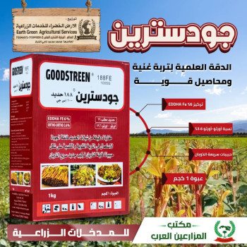 جود سترين