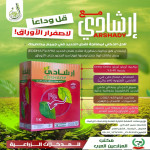 ارشادي