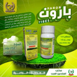 بارون