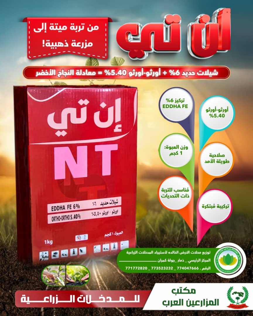 إن تي